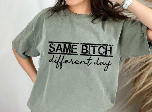 Same Bitch Different Day